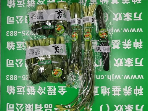 海珠農副產品公司發布萬家歡谷物最新報價，助力市場供需平衡
